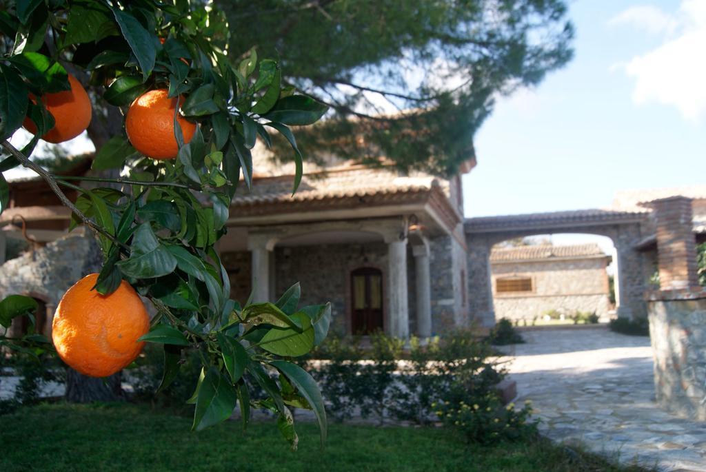 Agriturismo L' Agrumeto Francavilla Marittima Esterno foto